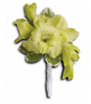 Exotic Gladiolous Boutonniere