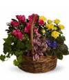 Blooms of Paradise Basket