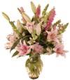 Lily Fair