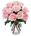 Dozen Pink Roses w/Vase