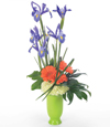 Islands of Iris